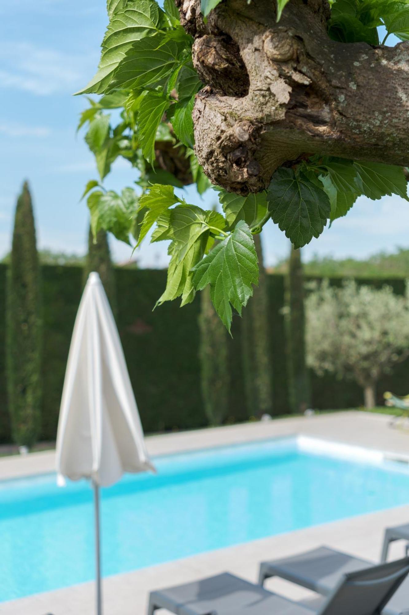 Villa Carini With 3000 Mq Garden & Heated Pool Castelnuovo del Garda Εξωτερικό φωτογραφία